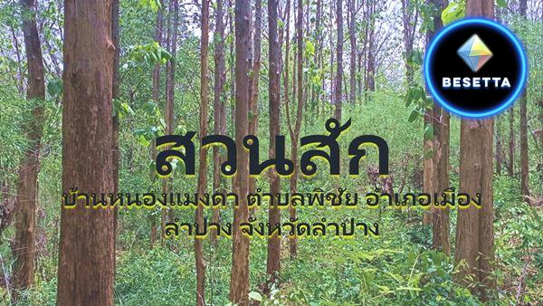 ขายที่ดินแปลงใหญ่มีโฉนดใน อ.เมืองลำปาง พร้อมต้นสัก (ลงทะเบียนสวนป่าแล้ว)